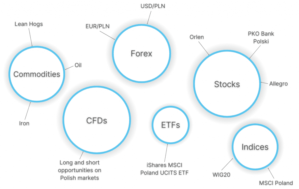 Infographic showing popular day trading markets in Poland