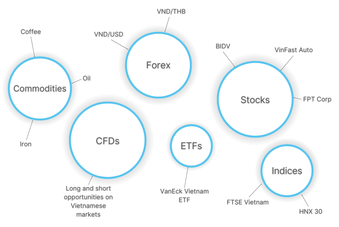 Infographic showing popular day trading markets in Vietnam