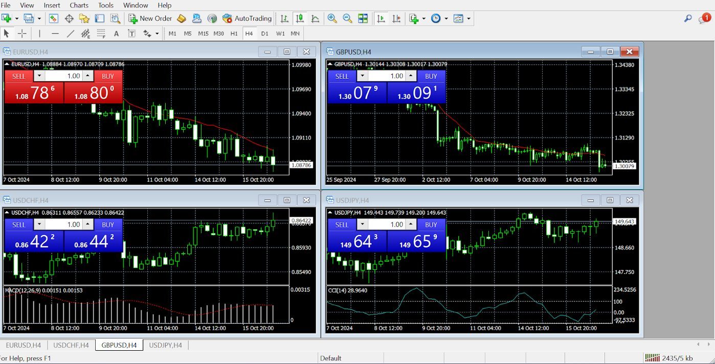 Initial MetaTrader 4 charting view