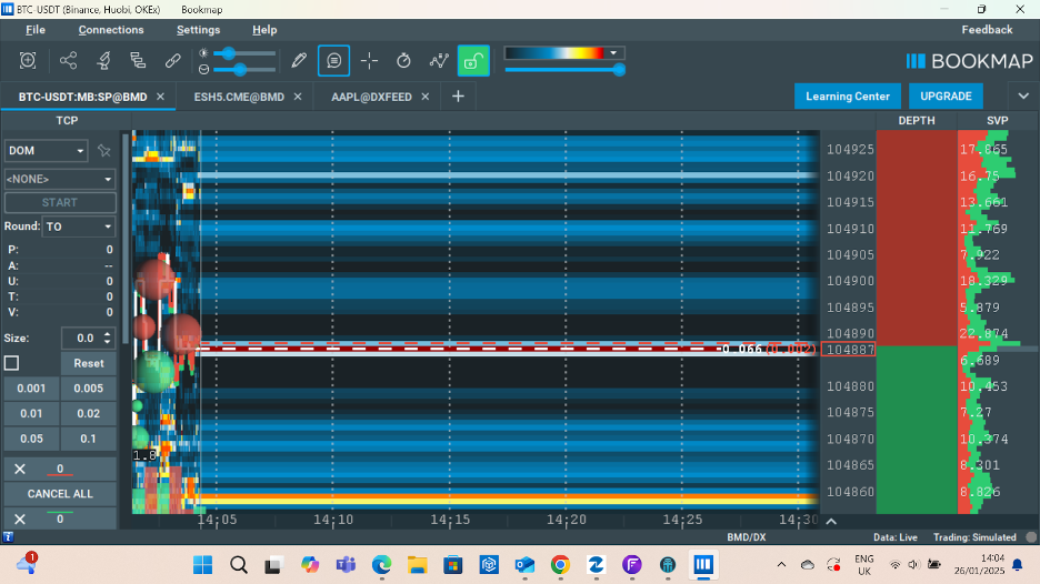 Depth of Market feature on Bookmap trading platform