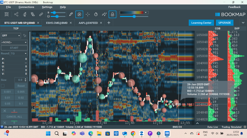 Heatmap feature on Bookmap platform